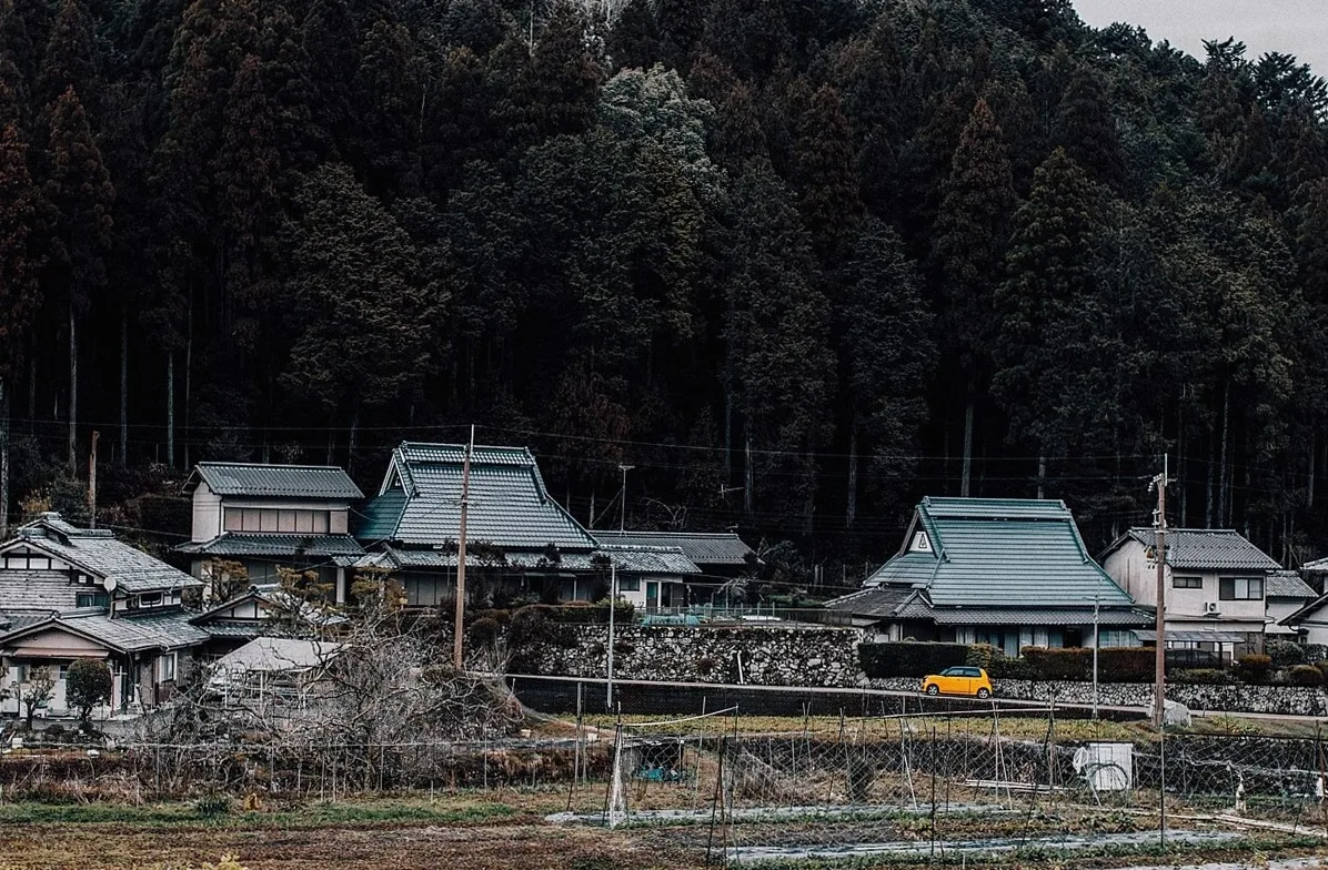 山あいの森を背に、瓦屋根の家が並ぶ集落